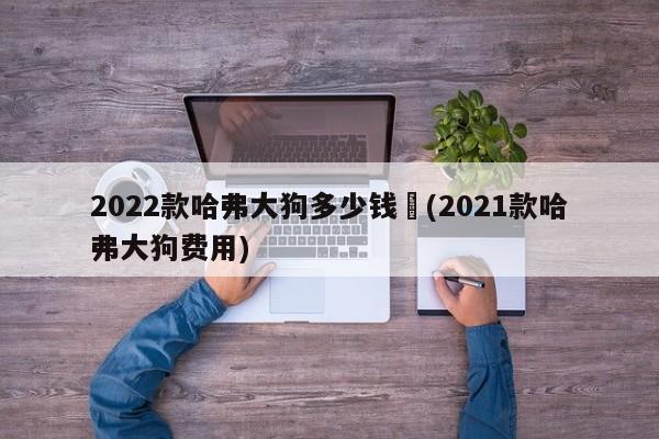2022款哈弗大狗多少钱︰(2021款哈弗大狗费用)