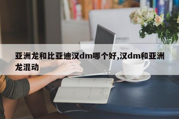 亚洲龙和比亚迪汉dm哪个好,汉dm和亚洲龙混动