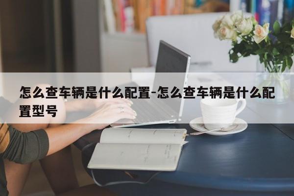 怎么查车辆是什么配置-怎么查车辆是什么配置型号