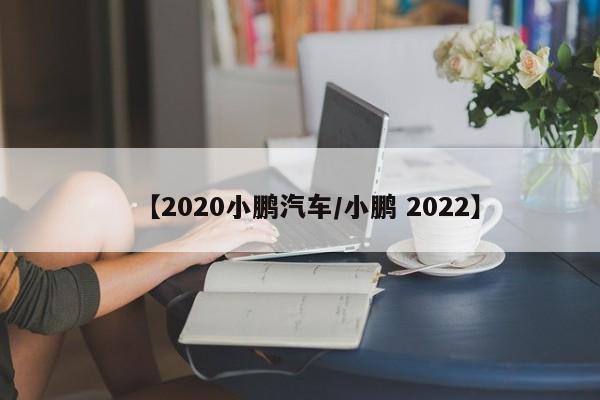 【2020小鹏汽车/小鹏 2022】